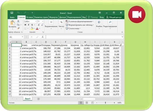 Создать систему высокоточного прогноза за 5 минут (VIDEO)