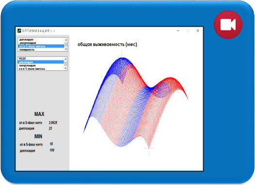 Создать систему высокоточного прогноза за 5 минут (VIDEO)